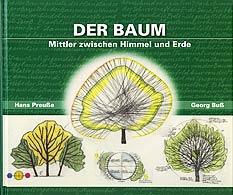 Der Baum - Mittler zwischen Himmel und Erde